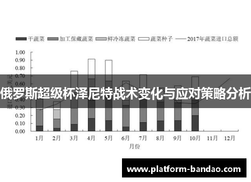 俄罗斯超级杯泽尼特战术变化与应对策略分析