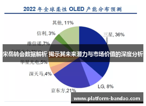 宋岳转会数据解析 揭示其未来潜力与市场价值的深度分析