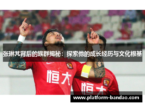 张琳芃背后的族群揭秘：探索他的成长经历与文化根基