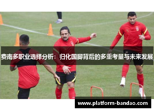 费南多职业选择分析：归化国脚背后的多重考量与未来发展