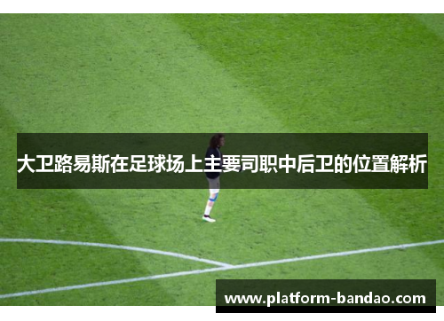 大卫路易斯在足球场上主要司职中后卫的位置解析